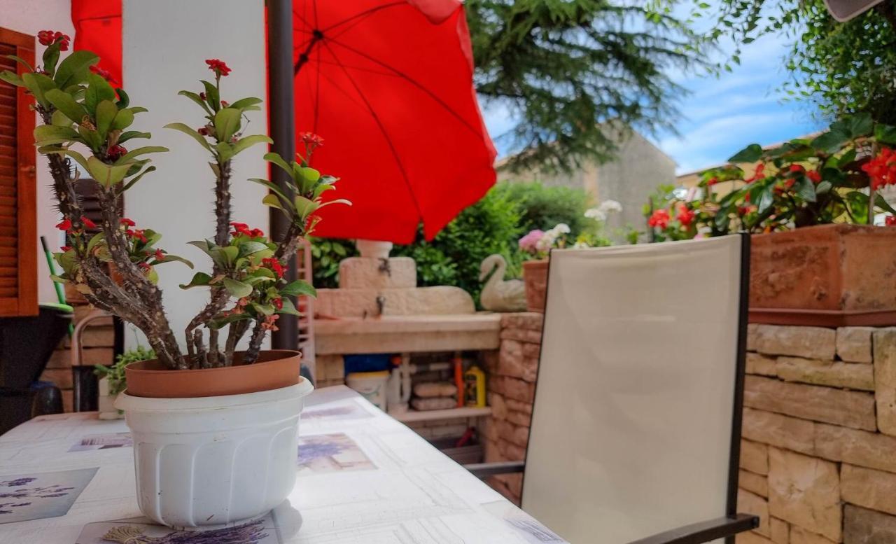 Valentino Appartement Novigrad Istria Buitenkant foto